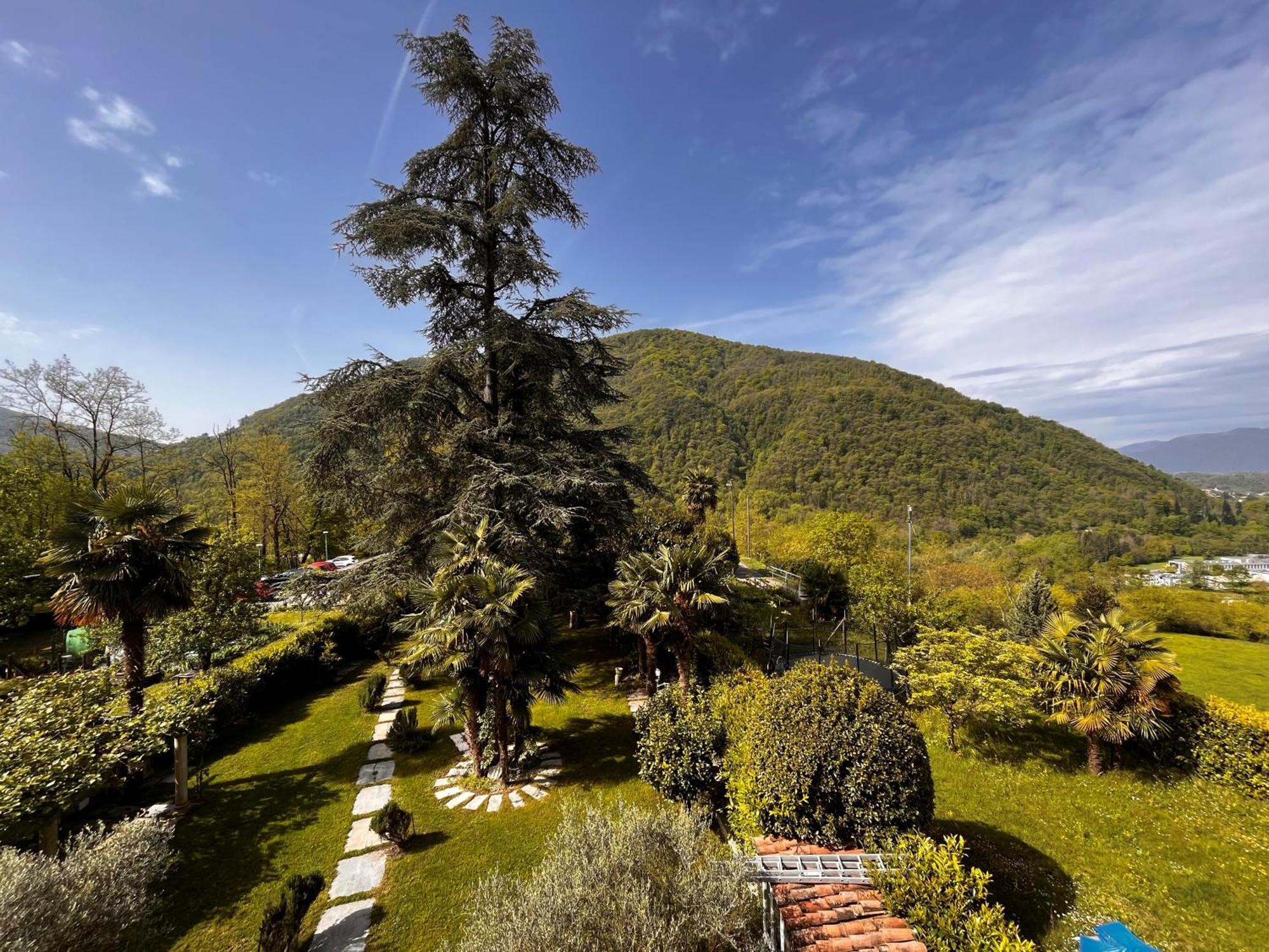 Romantico Palazzo Dei Ulivi Purasca Экстерьер фото